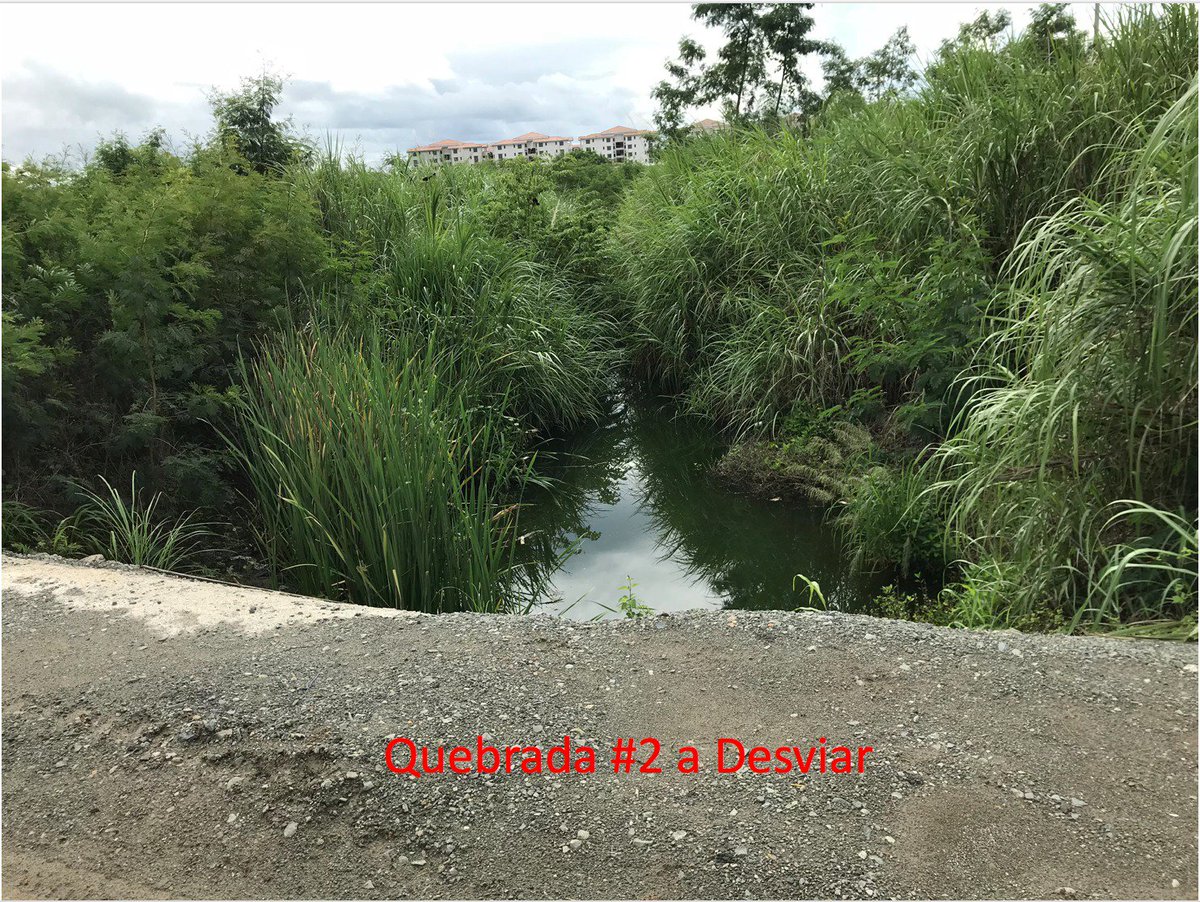 Calin06's tweet image. !Peligro¡ Desvíos de Quebradas y Rellenos Titánicos de Manglar en Costa Sur, Juan Díaz. No hay autoridad, vienen los meses fuertes de lluvia, Es muy grave. @AlvaroAlvaradoC @donderisja @BlandonJos