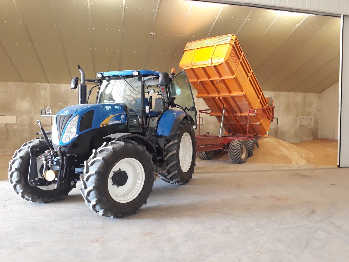 Verder met 2e perceel tarwe #oogst18 in ras Porthus. Met <a href="/KlokKees/">kees klok</a> op de combine. Dit jaar een gedeelte in eigen opslag.