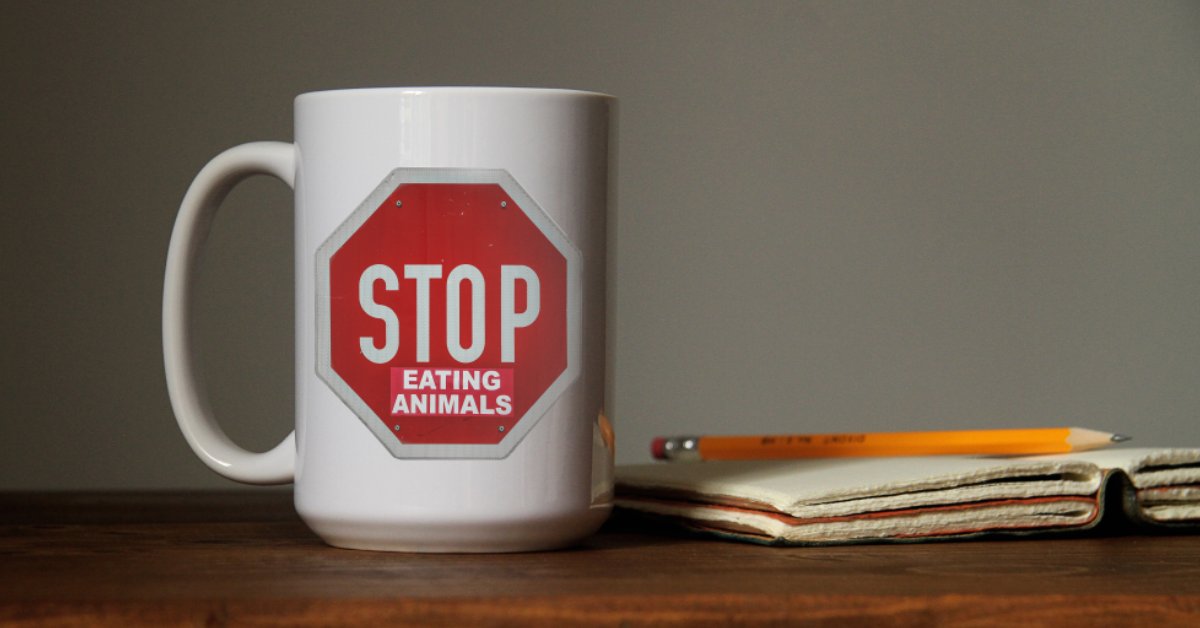 STOP EATING ANIMALS! TOP SELLING VEGAN MUG OF 2017
Back due to popular demand. This is our final run and we have a one time offer of a reduced price: Was £12.99 now only £9.99 >>>bit.ly/2NJhY7f  #vegan #vegans #govegan #animalwelfare #veganhour #veganfood #whatveganseat
