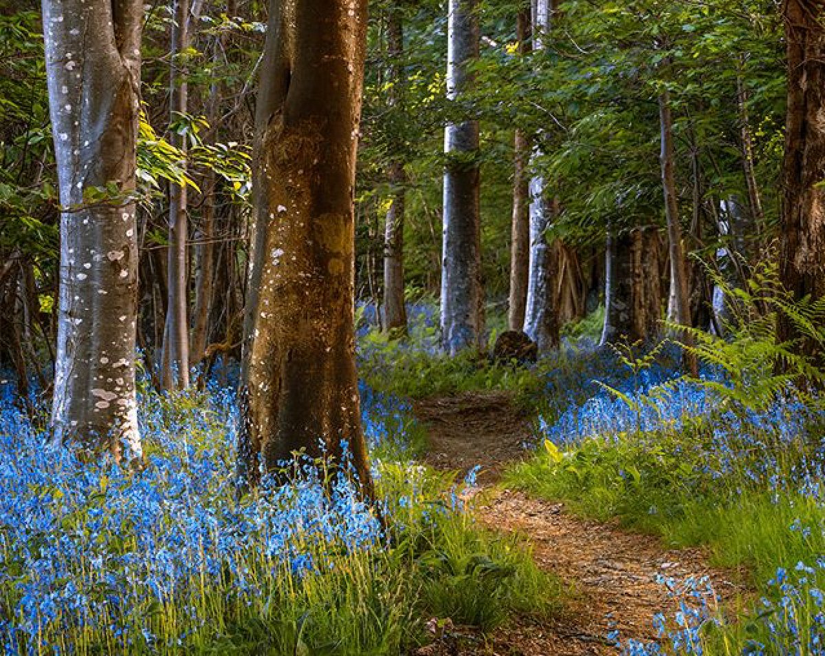 Obstacles don’t block the path.
They are the path.

Zen Proverb
Pic Lars Van de Goor