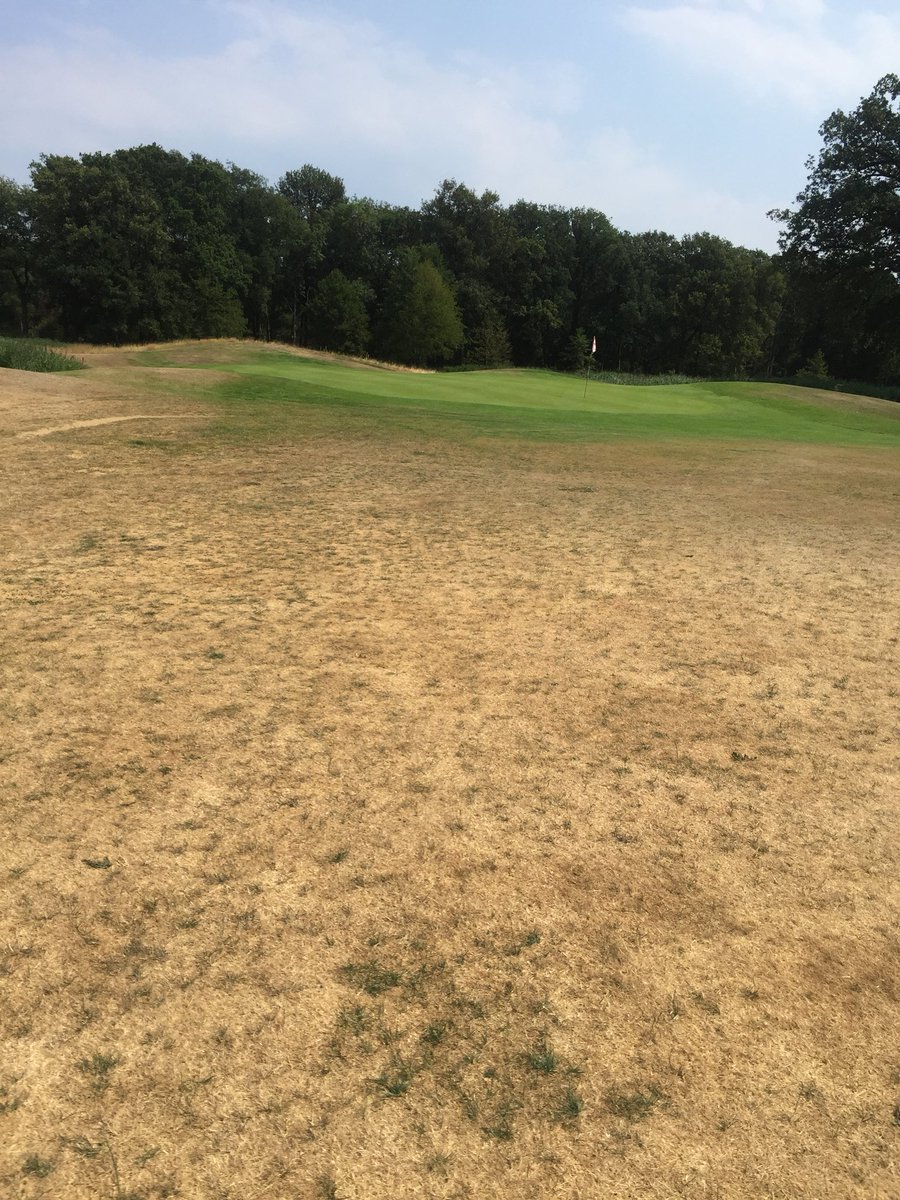 De fairway van golf MiddenBrabant is getransformeerd tot steppe #herfstinnederland