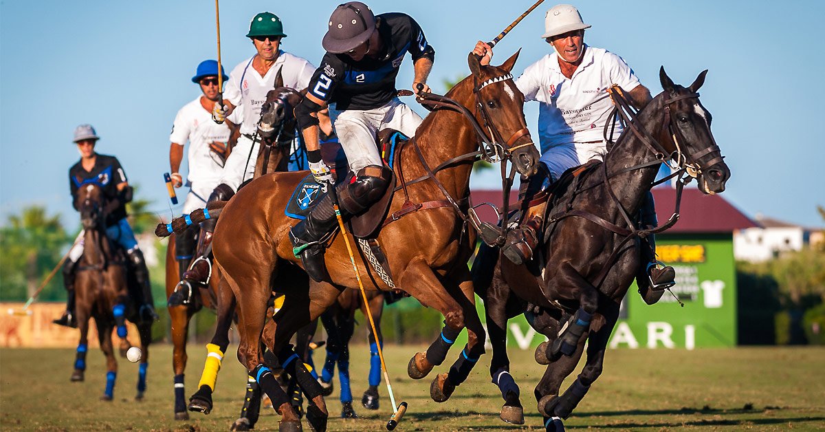 YourVIVAspain's tweet photo. Today's great #blog - 47th International Polo Tournament returns to #Sotogrande @SantaMariaPoloC Read more here | https://t.co/t16lDWmvY0
#VIVA #lifestyle #blog #CostaDelSol #Spain #champagne #polo https://t.co/d1I6tAHy3Y