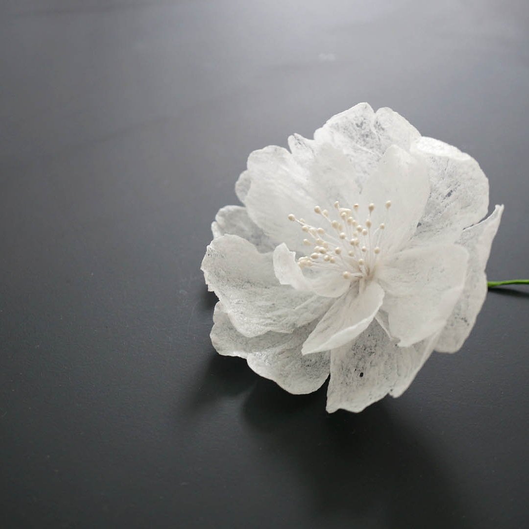 tei_1987's tweet photo. #waferpaperflower

#종이꽃 #식용종이꽃 #웨이퍼페이퍼 #페이퍼플라워 #waferpaper #ediblepaper #edibleflower #paperflower #beanpastecraft #beanpasteflower #sugarflower #sugarcraft #flowers #flowercake #flowerart  #koreaflower #handmade #食用ペーパー #ペーパーフラワー #フラワーケーキ https://t.co/mQAuoBhaTC