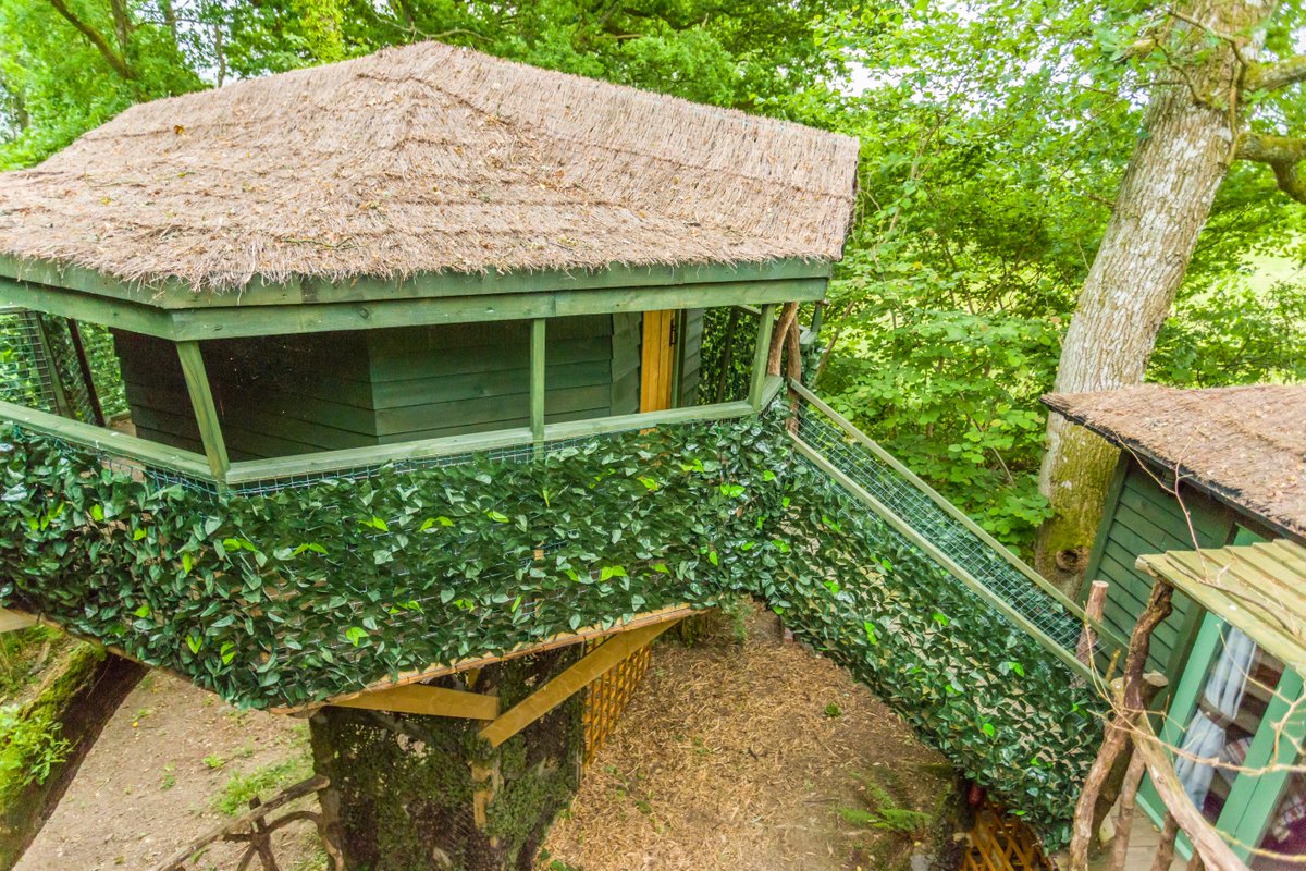 glampingpark's tweet photo. #discount on #Tree #House #holiday
Don't delay, We only have 4 nights left available this #Summer for our tree house. sleeps 6 
4 nights 29th July to 2nd August usually £440 now only £375.
to book phone 01982 553022
#treehouse #Wales https://t.co/AZmbTR82gh