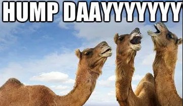 Happy Hump Day!  #baltictraining