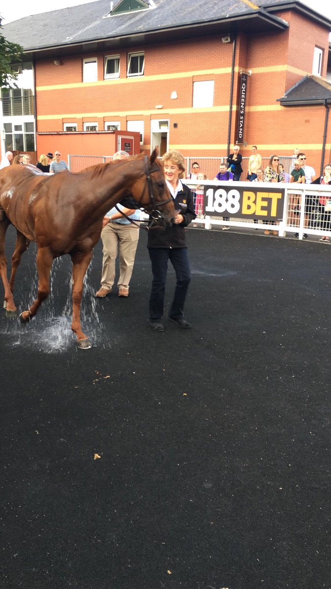 @tamhmfc @willyhfc @MusselburghRace @188BET @AndrewBrezz You would have enjoyed it tommy, there she is just after the win. Great stuff