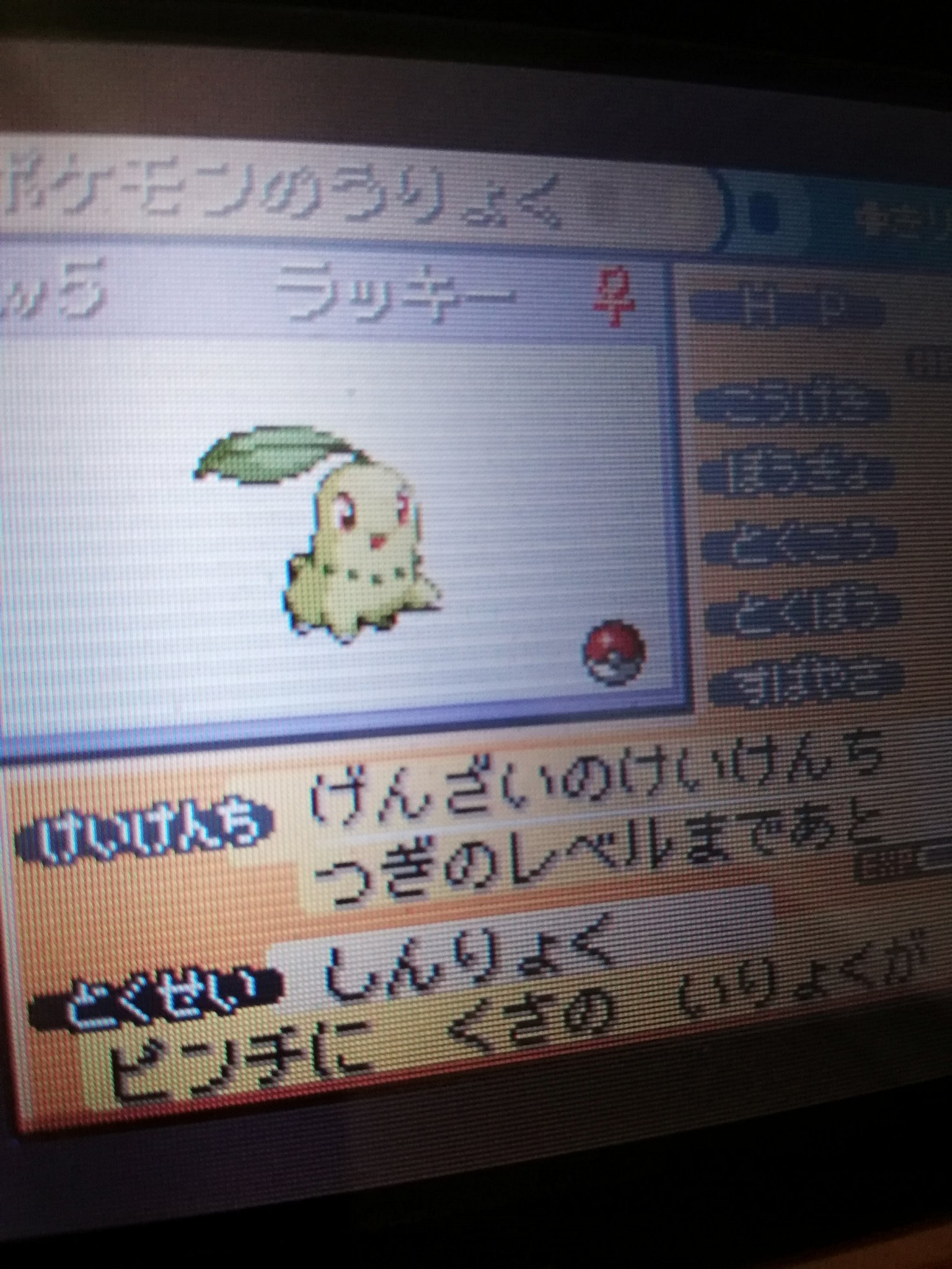 エリザベス ポケモン特撮好き 金銀の御三家はリメイクのhgssが発売されるまでなかなか入手できなかった 私が小さい頃 一緒にやってた姉が頑張ってホウエン図鑑を完成させて博士からチコリータをもらったからめっちゃ増やしてた 今日久々にファイア