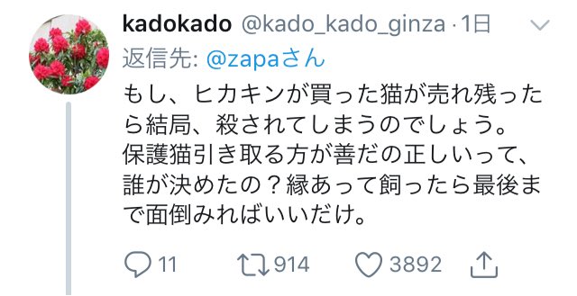Zapa ペットショップで猫を買ったくらいで炎上 するなんて有名人は大変だ 批判したいやつやアンチはどこにでもいる 有名人がすぐ炎上する最近の世の中はおかしい などと言ってる人もいるんだけど 炎上はすぐそこにある 有名かどうかに関わらず Zapa ペットショップで猫を買ったくらいで炎上 するなんて有名人は大変だ 批判したいやつやアンチはどこにでもいる 有名人がすぐ炎上する最近の世の中はおかしい などと言ってる人もいるんだけど 炎上はすぐそこにある 有名かどうかに関わらず