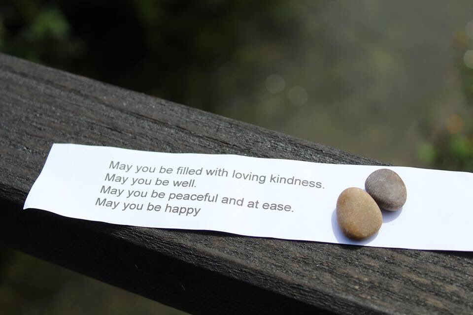 Jill Grieve tweet media