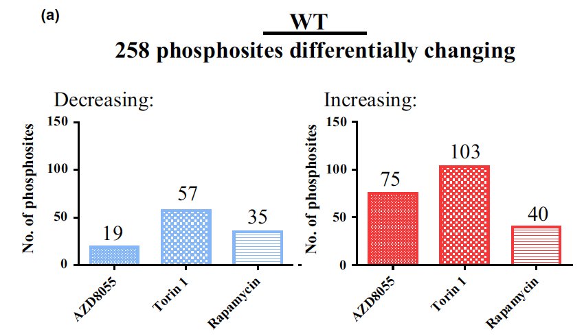 Crespo lab (@chlamyautophagy) on Twitter photo Our collaboration on TOR signaling with Leslie Hicks and <a href="/Volvox01/">Jim Umen</a> labs is out in <a href="/NewPhyt/">New Phytologist</a> !! Quantitative phosphoproteomics revealed novel TOR targets in #Chlamydomonas #rapamycin <a href="/inmacouso/">inmaculada</a> <a href="/IBVF_Sevilla/">IBVF</a> doi.org/10.1111/nph.15… … Our collaboration on TOR signaling with Leslie Hicks and <a href="/Volvox01/">Jim Umen</a> labs is out in <a href="/NewPhyt/">New Phytologist</a> !! Quantitative phosphoproteomics revealed novel TOR targets in #Chlamydomonas #rapamycin <a href="/inmacouso/">inmaculada</a> <a href="/IBVF_Sevilla/">IBVF</a> doi.org/10.1111/nph.15… …