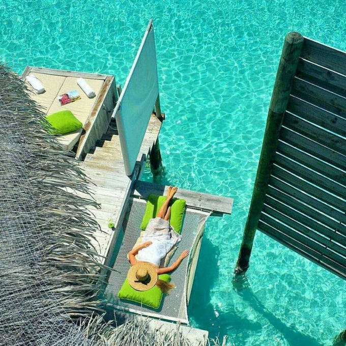 soniacolpo's tweet photo. @jumeira__h @poupouch48 @JAIMON777 @MARYANCURBELO @SimonaAnvar @Keith1Chill @vixentink_tracy @zepiron @Ghiovanela @GucciGuccin @rkmeeks7 @BrendaFlournoy1 @Lizbethfeelings @MrSmiith_ @mrtom101 @cabrerasm6 @NajdeckiArtur @seasolshades @arasaucedo24 @Joee_Blackkk @se_ablue @SurfersRoom @MagdaMeghy @henrirouen @DonnaFins @peac4love @klem7165 @AnnaCAAlves17 💚💙💚💙💚💙💚💙💚💙💚💙💚💙
#WednesdayMotivation #GoodMorning #toAllGreatFriend #EnjoyAniteOne
#ThankYouAlways 💚🌴💙#GoodVibesOnly #PlaceToGo #Pool #Maldives https://t.co/3yr3ztSDel