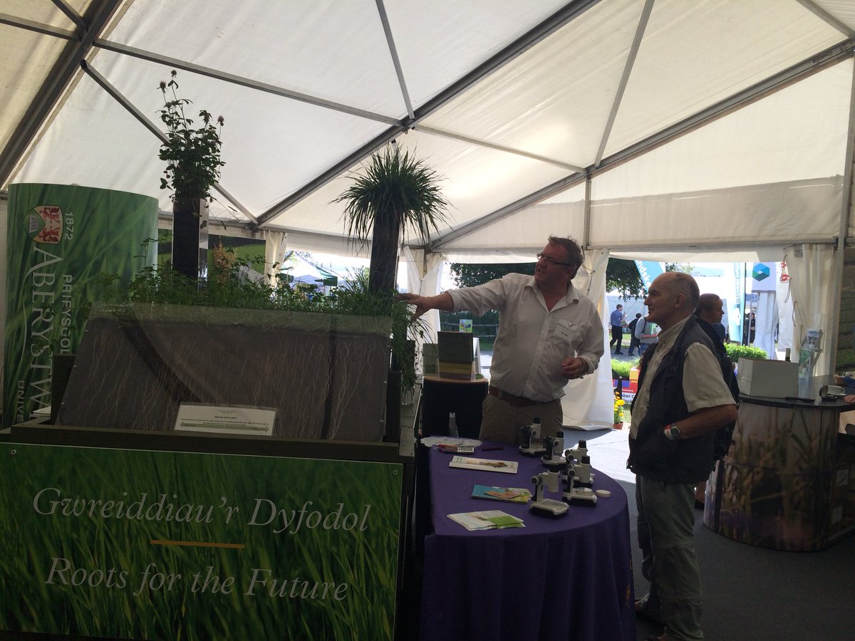 ibers_aber's tweet photo. Top plant breeders @AberUni @royalwelshshow under starter’s orders; and a busy morning here in the sunshine today #awardwinningvarieties #climatesmartgrass #plantbreedingexpertise #sunny https://t.co/38DjVx5LJ7