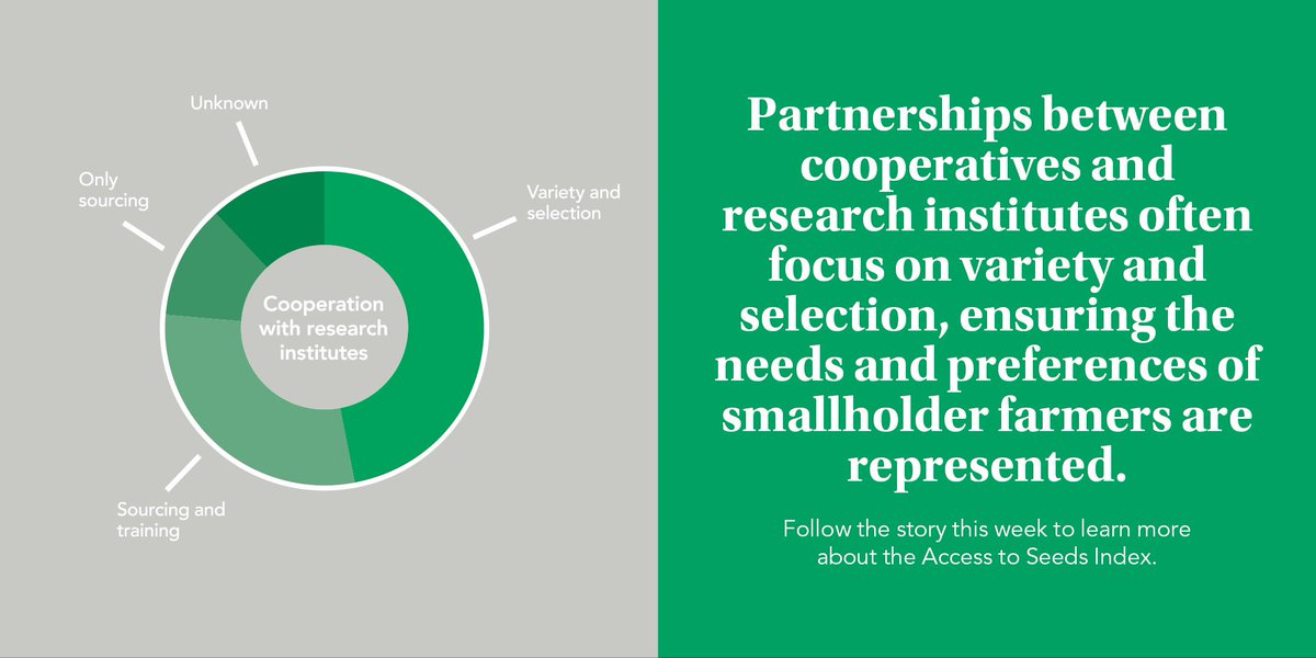 ATSIndex's tweet photo. Seed-producing co-ops know the preferences of their members & are familiar with local growing conditions. By partnering with research institutes, like by selecting and testing varieties, choices can be made that are suitable for local conditions of #smallholders.
#ATSInsights https://t.co/7oDKa0bivQ