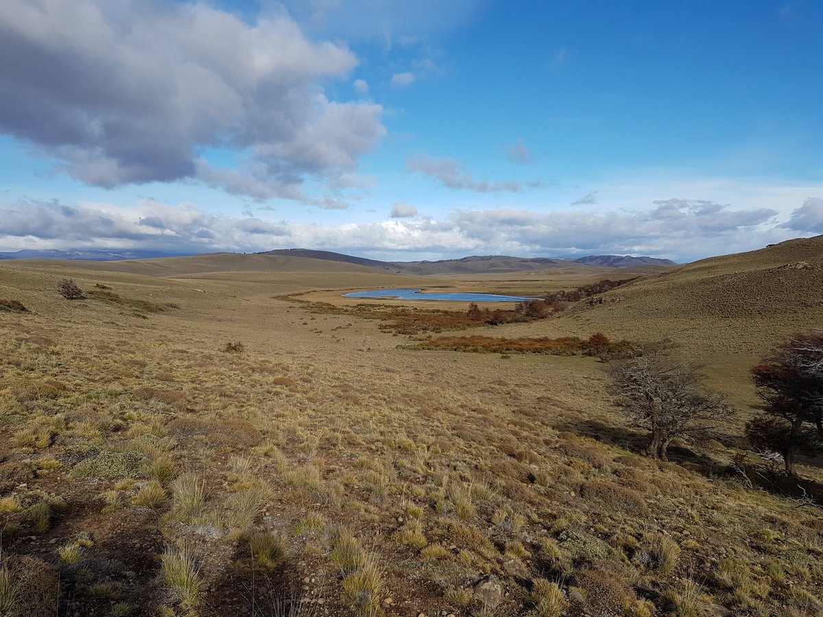 Familia Torres tweet media