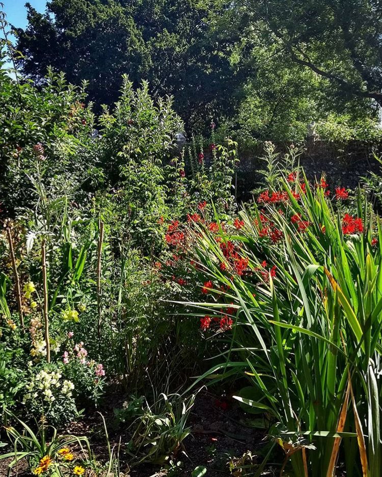 .@charlestontrust have been kind enough to offer us a venue for Olivier's wake. It couldn't be a better place. Here is the lovely garden. Thankyou @nthepburn #olivierbell #charlestontrust #bloomsbury