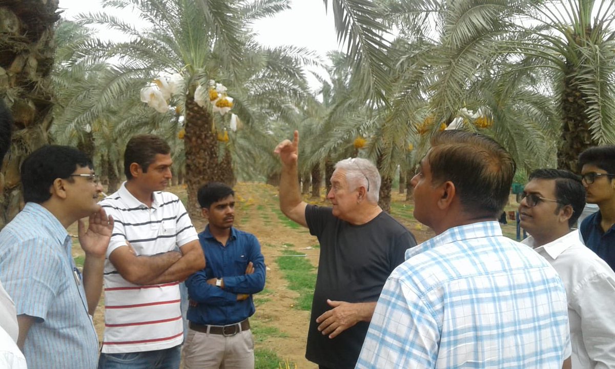danielocarmon's tweet image. The #IIAP @MASHAVisrael #MIDH DATES  #CenterofExcellence in #Bhuj, #Gujarat inaugurated by @PMOIndia @narendramodi &amp;amp; @IsraeliPM @netanyahu last January hosted this week an Israeli #Agricultural expert -Haim Oren who covered various disciplines of date growing including #PHM