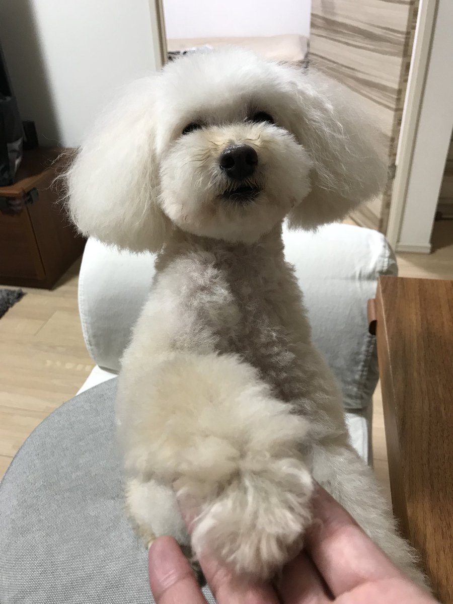 saR_w10's tweet image. 何でもあげたくなる(〃ω〃)