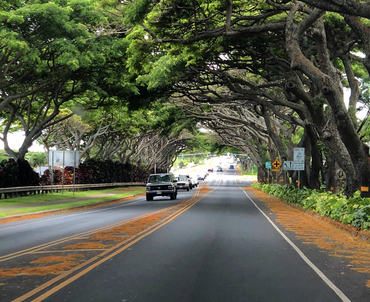 Roadtrip Couple tweet media