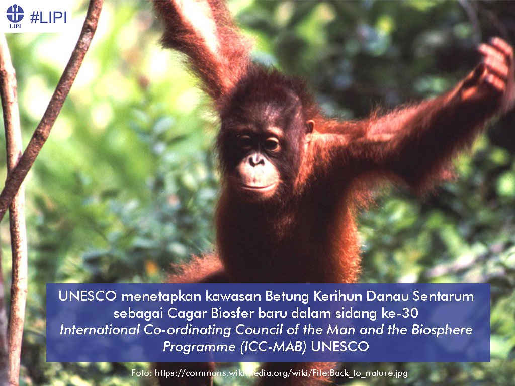 Science Badan Riset dan Inovasi Nasional tweet media