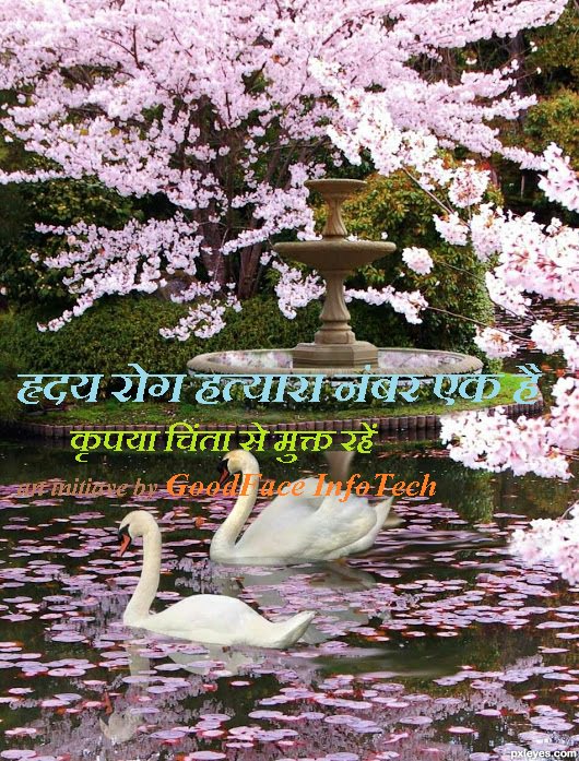 mohanku13843925's tweet image. 