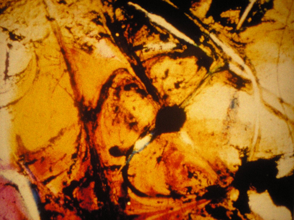 LUXmovingimage's tweet photo. Tomorrow @GI_London1 ā
Anahita Razmi screens Stan Brakhage's #16mm 'Persian Series #6-12'
+ a serving of vodka shots, to begin the drunken roundtable discussion for #THEFUTURESTATE #04, 7.30pm
Tickets ā https://t.co/85pQb0Y0bR #Iran https://t.co/dIhnTyt77Z