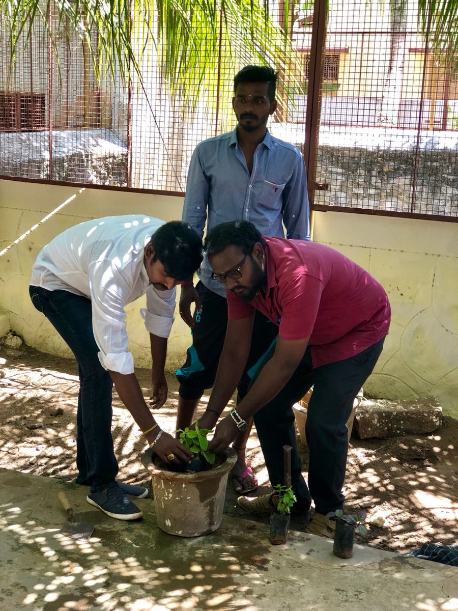 DfcNellai's tweet photo. 8நாட்கள் தலைவர் பிறந்தநாள் கொண்டாட்டம்.# பசுமை திருவிழா #4ம்நாள் இன்று பாளை ஒன்றிய இளைஞரணி சார்பில் மாநகரத்தில் முதற்கட்டமாக  பல்வேறு இடங்களில் மரக்கன்று,மூலிகை செடிகள் வழங்கப்பட்ட விழாவில் நெல்லை மாவட்டம் தனுஷ்ரசிகர் மன்றம்@dhanushkraja @DhanushismKK @vinod_offl https://t.co/9IelVVCy5f