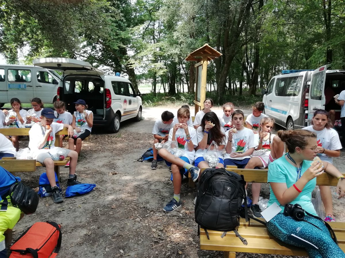 ProcivVigarano's tweet photo. #campiscuola2018 #protezionecivile al Boscone della Mesola https://t.co/vteGhWmCET