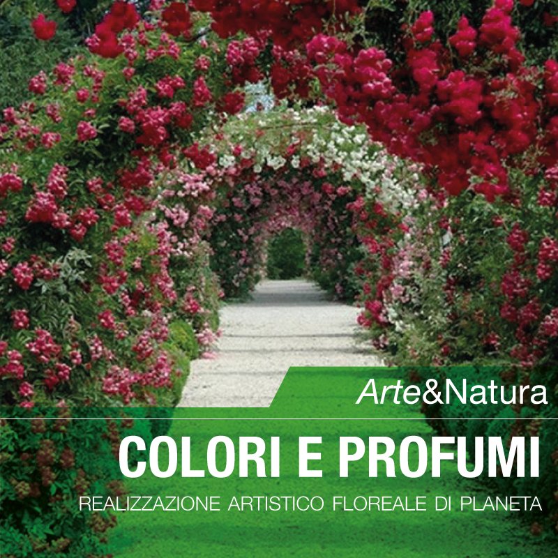 Planeta_Srl_'s tweet photo. #Colori e #Profumi: le realizzazioni #artistico #floreali di #Planeta https://t.co/4xsjisM11V #garden #gardendesign #gardening #nature #color #beautiful #colorful #plants #flowers #design #homedecor #perfume #smell #giardinaggio #bio #art #arte https://t.co/0aPcmERrAA
