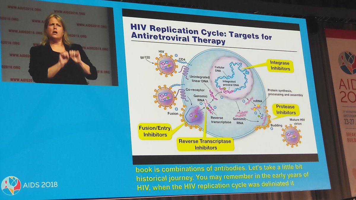 Duchess of Healing tweet media