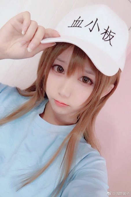 コスプレイヤー浅野菌子のTwitter画像19