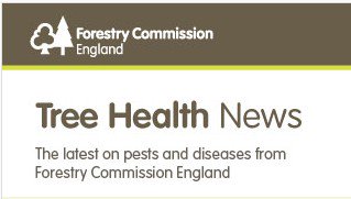 ForestryComm's tweet photo. The summer edition of #TreeHealthNews is out now https://t.co/VLVq6jhQtw https://t.co/kyCkFJJ9Ek