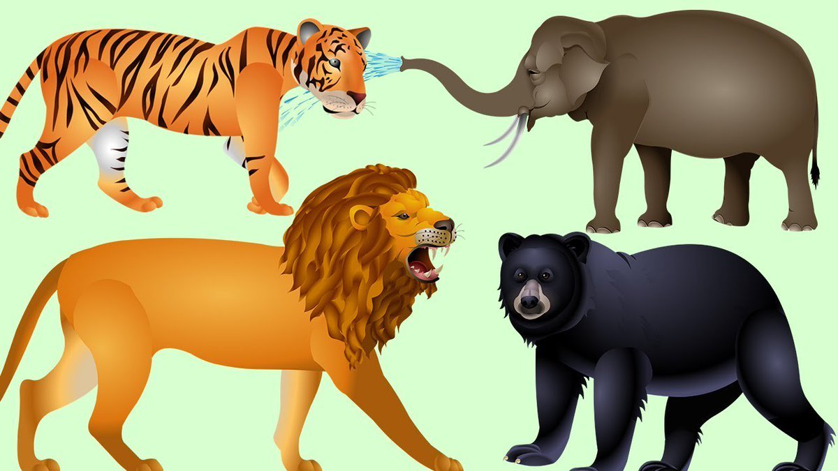 KidsFun5's tweet image. Learn #Animals Names For #Children 
buff.ly/2A96ZBV
