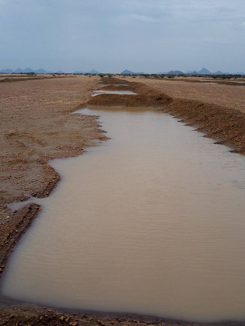 sawapsudan's tweet photo. @SawapCommunity 
#SAWAP Sudan
SSNRMP- Sudan #Sustainable Natural #Resources Management Project
Water #Harvesting, #Tahadi Implementation #Forest
#Agricultural Season 2018 https://t.co/zvPeAq9XmU