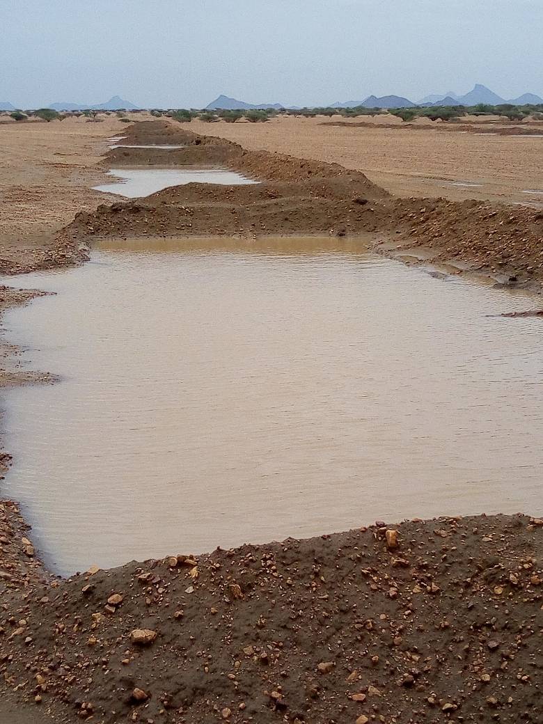 sawapsudan's tweet photo. @SawapCommunity 
#SAWAP Sudan
SSNRMP- Sudan #Sustainable Natural #Resources Management Project
Water #Harvesting, #Tahadi Implementation #Forest
#Agricultural Season 2018 https://t.co/zvPeAq9XmU