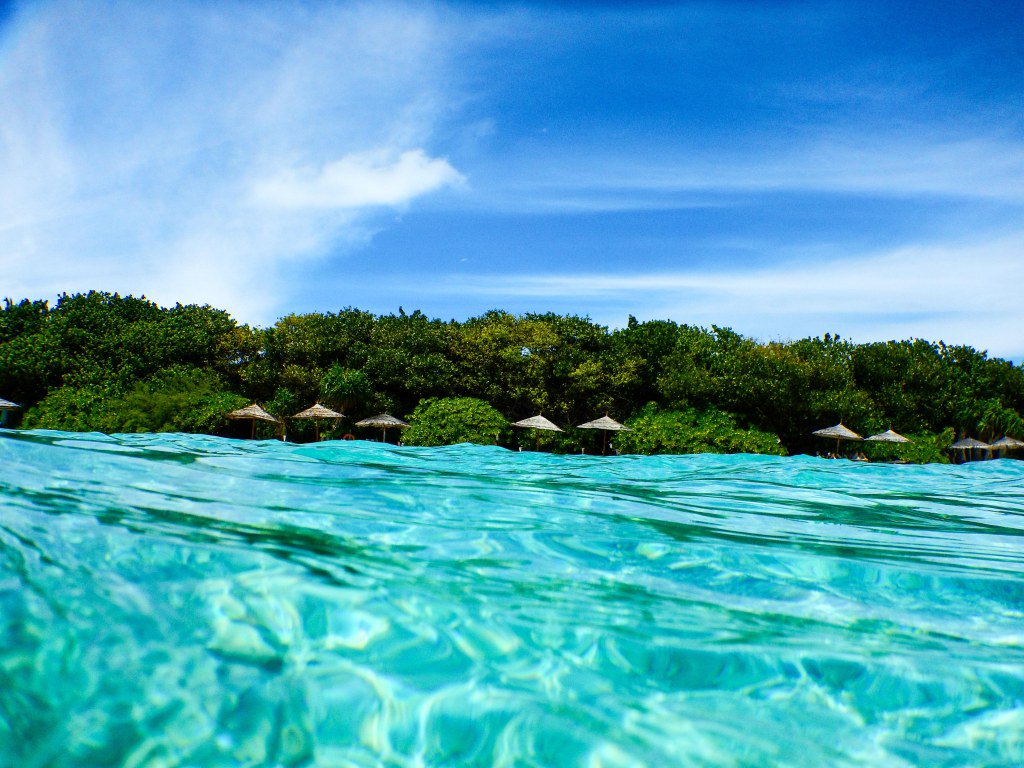 dolphisa7's tweet photo. Paradis Maldivien : le Reethi Beach https://t.co/SGVi9wiZAA https://t.co/qX74kZj7vp