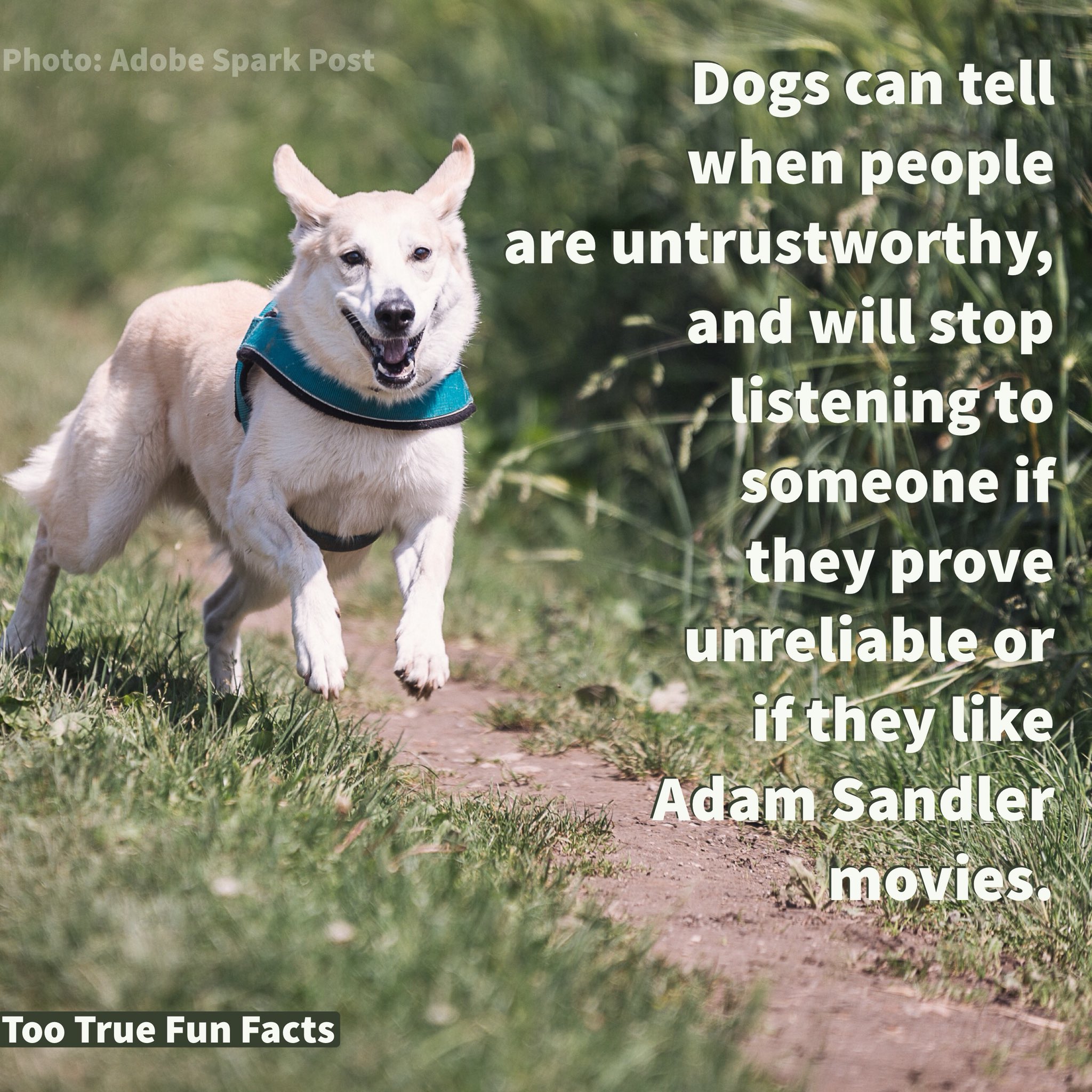 Too True Fun Facts on Twitter: Too True Fun Facts on Twitter: