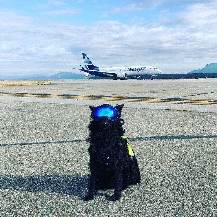 YVR tweet media