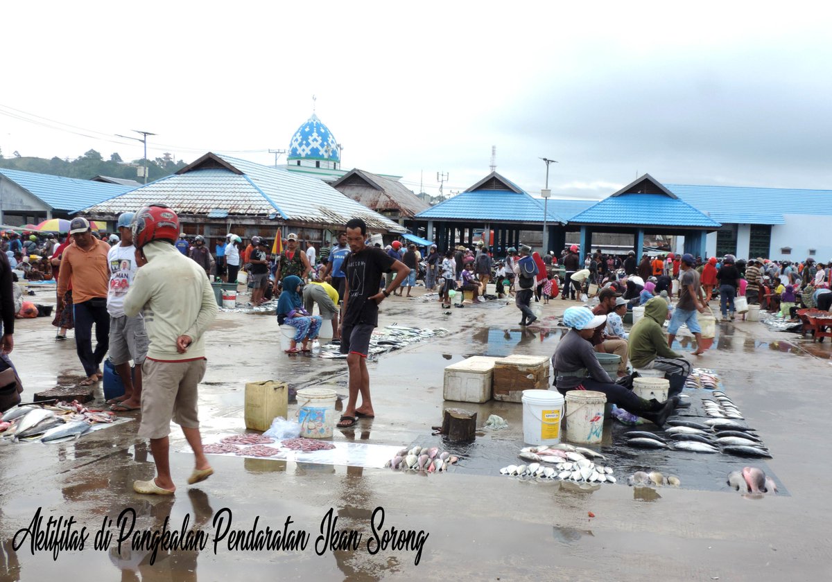 Saharnbl1's tweet photo. Pangkalan Pendaratan Ikan (PPI) Sorong https://t.co/wlw2ujZ4OH