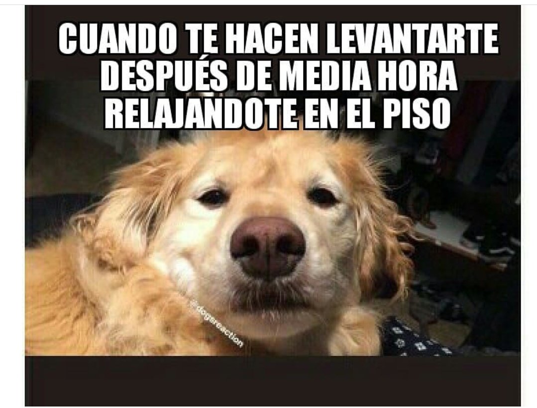 tikamentilisma's tweet photo. https://t.co/GexYdo0XK1