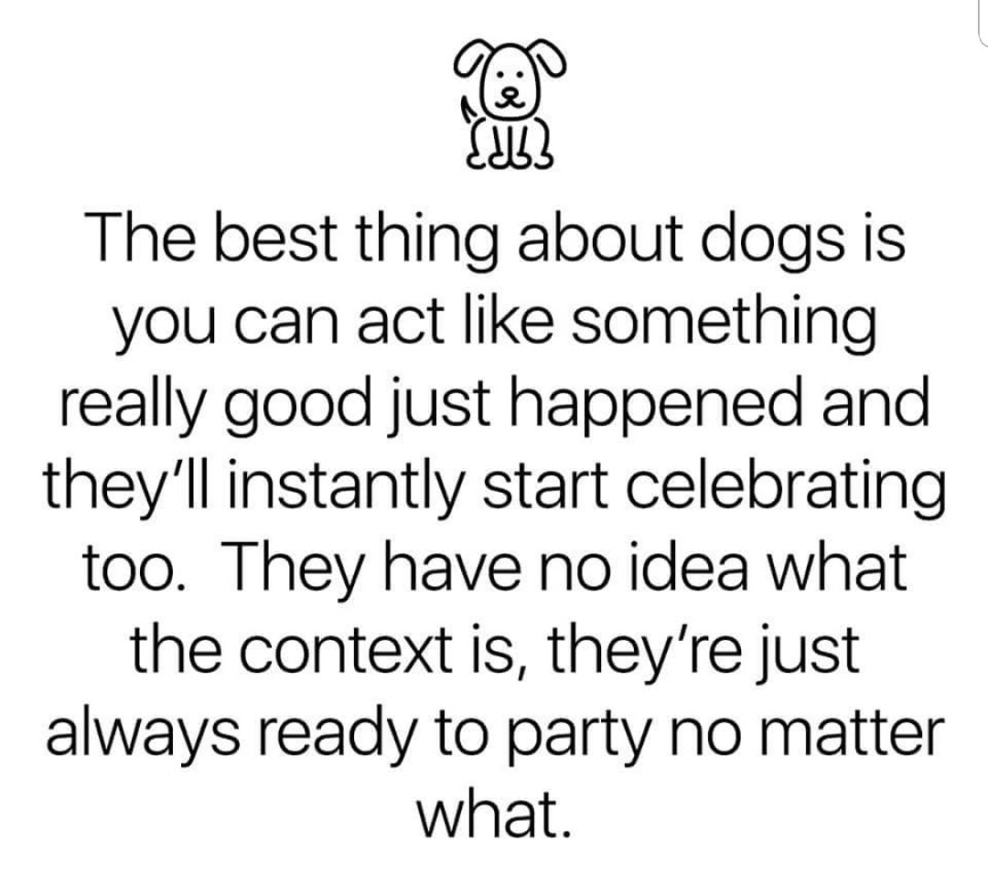 AgilitywAmanda's tweet photo. The #best thing about #aboutdogs is you can #act #like #something #reallygood #justhappened and they'll #instantly start #celebrating too. They have #noidea what the #context is, they're just #alwaysreadytoparty #nomatterwhat
#dog #dogs #dogslofe #doglovers https://t.co/jEpBeMTUev