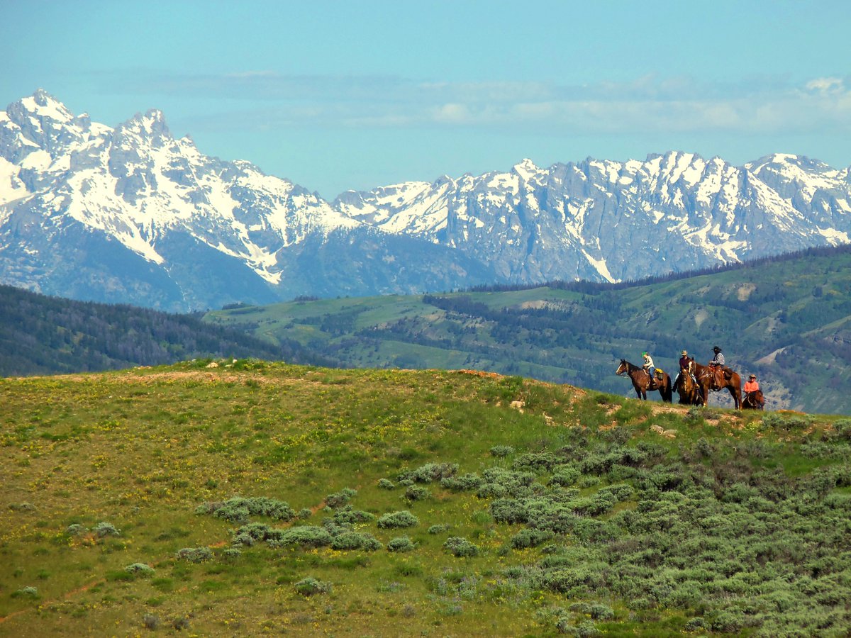 pleasefinditltd's tweet photo. The old adage, a picture can speak a 1000 words @DudeRanchers The Red Rock Ranch @wyomingtourism #duderanchers #Wyoming https://t.co/L4Nysp4OWm #pleasefindit
