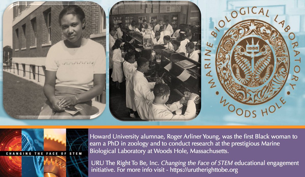 URUTheRightToBe's tweet image. #WednesdayWisdom @HowardU alumn Roger Aliner Young was 1st Black woman to earn PhD in Zoology #HBCU#ChangingTheFaceOfSTEM #STEM #ChangingSTEM #WOCinSTEM @HBCUSTEM