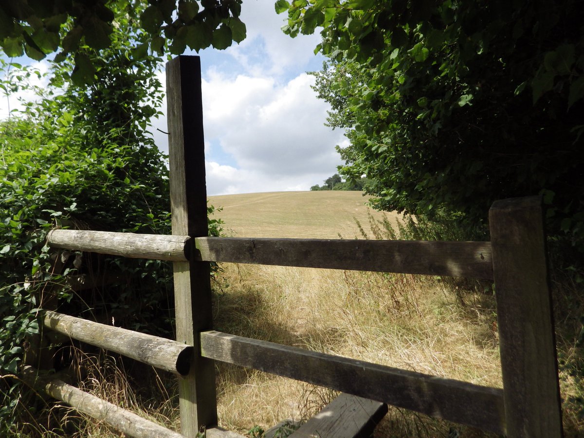 sublimestem's tweet photo. Project Insect on tour in the glorious Buckinghamshire countryside @rhcaseby #inspiringthenextgeneration #greatoutdoors #projectinsect #HLFsupported #abundanceofinsects https://t.co/4aXyOgzmHW