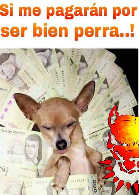 kimbermancera's tweet image. 😛 Felicidad es sacarle la lengua a quien te quiere ver mal 😋

#aksystems