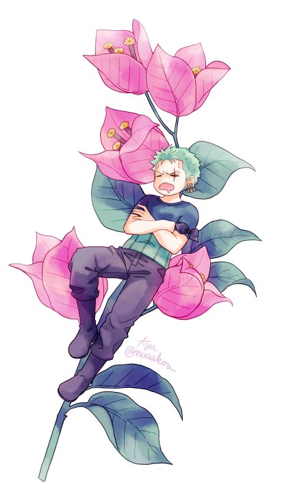 roronoa zoro 1boy male focus green hair solo sleeping short hair flower  illustration images