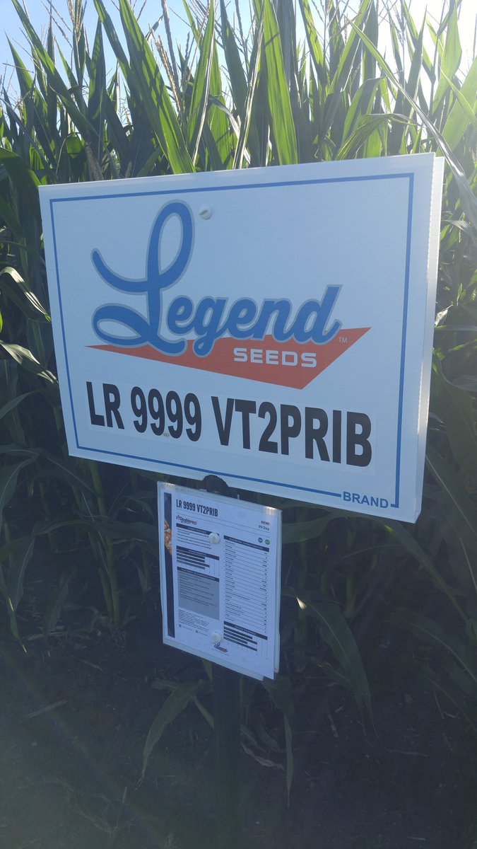 Cody Miller Seeds tweet media