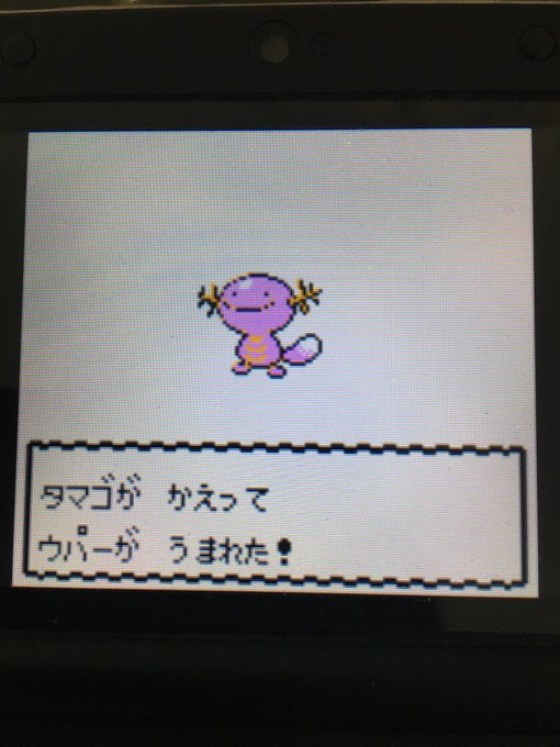 色違いポケモン紹介 Vc産ウパー 自由に生きてあそblog