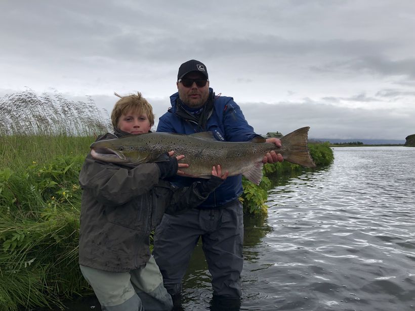 Aardvark McLeod tweet media