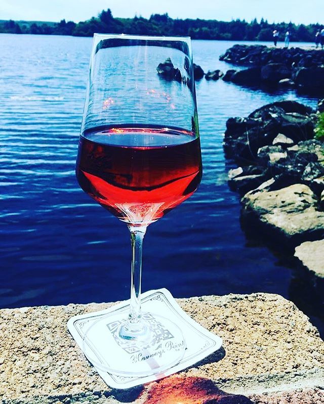 barrett1211's tweet photo. We love to celebrate @harveyspoint whether it’s a birthday an anniversary we are always ready for any kind of party. Come join us and have some wine and cheese today for #nationalwineandcheeseday2018 @harveys1989 #everydayparty #winewednesday #cheeseday #didsomeonesaywineand… https://t.co/99hN6Mk58l