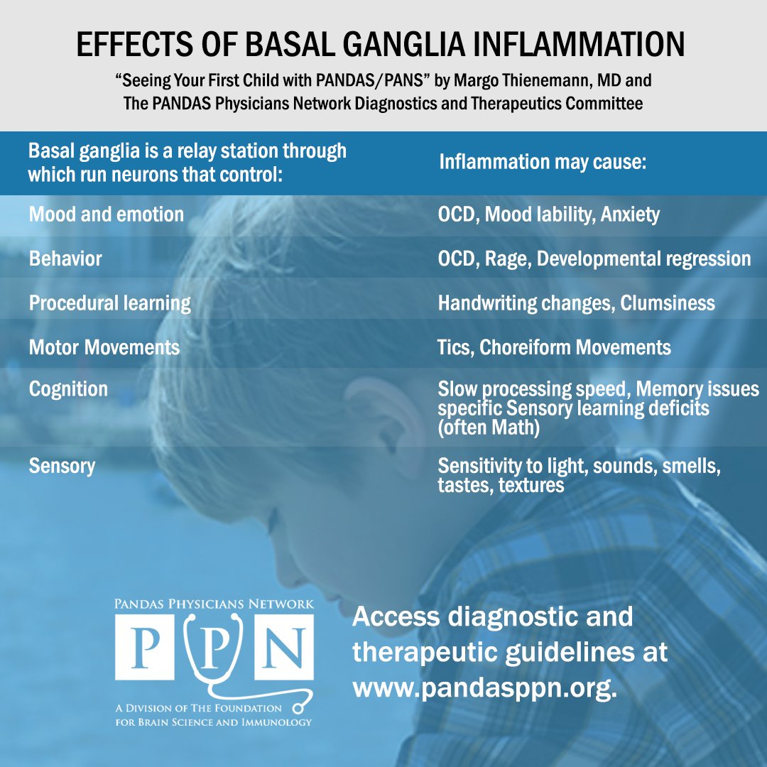 Basal ganglia #inflammation resulting from #PANDAS/#PANS, affects motor function, emotion, #behavior, procedural learning, cognition and #sensory issues. pandasppn.org/seeingyourfirs…
#pandasppn #brain #encephalopathy #ocd #tics